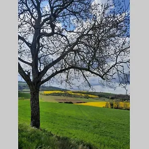  Hébergement de vacances La Dilettante, Petite Maison Rénovée, Avec Jardin