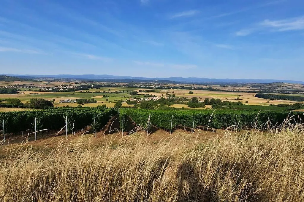Maison Au Calme Avec Terrasse, Climatise Vertaizon France
